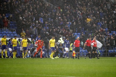 Cardiff City v Birmingham City 021119