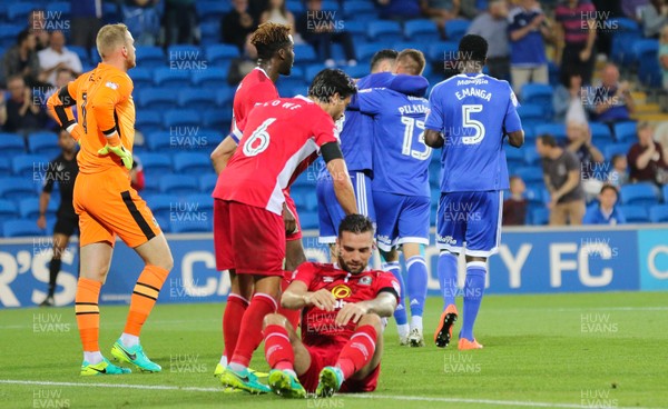 170816 - Cardiff City v Blackburn, Sky Bet Championship - Cardiff players celebrate after the second goal as Shane Duffy of Blackburn who scored the own goal gets to his feet