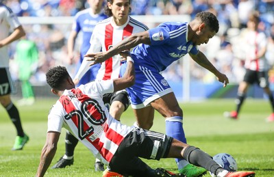 Cardiff City v Brentford 080417