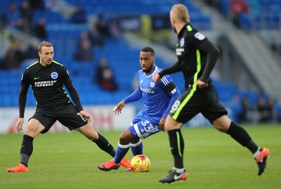 Cardiff City v Brighton 031216