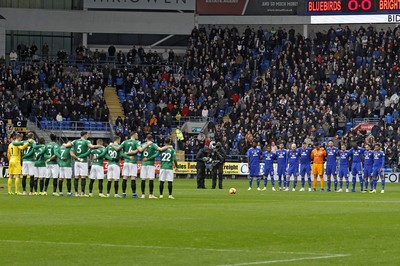 Cardiff City v Brighton 101118