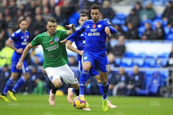 101118 - Cardiff City v Brighton & Hove Albion, Premier League - Josh Murphy of Cardiff City (right) in action with Dale Stephens of Brighton & Hove Albion
