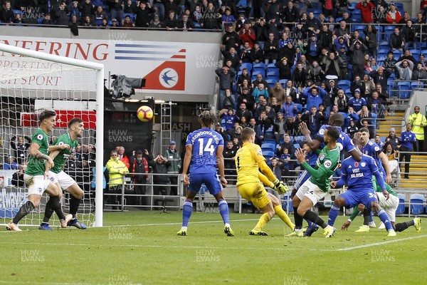 101118 - Cardiff City v Brighton & Hove Albion, Premier League - Sol Bamba of Cardiff City scores his side's second goal
