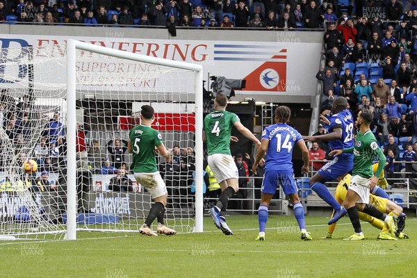 101118 - Cardiff City v Brighton & Hove Albion, Premier League - Sol Bamba of Cardiff City (2nd right) scores his side's second goal