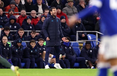 161225 - Cardiff City v Chelsea - EFL Cup Quarter Final - Cardiff City Manager Brian Barry-Murphy 