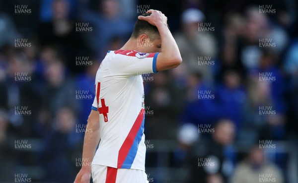 040519 - Cardiff City v Crystal Palace - Premier League - Dejected Jordan Ayew of Crystal Palace after scoring an own goal
