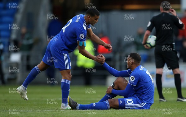 040519 - Cardiff City v Crystal Palace - Premier League - Dejected Lee Peltier and Kenneth Zohore of Cardiff City