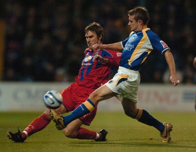 Cardiff City v Crystal Palace 061107