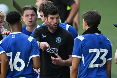110726 - Cardiff City v FC Midtjylland - Preseason Friendly - Brian Barry-Murphy, Cardiff City Manager consoles his team during the hydration break
