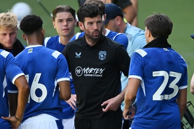 110726 - Cardiff City v FC Midtjylland - Preseason Friendly - Brian Barry-Murphy, Cardiff City Manager consoles his team during the hydration break