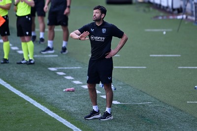 110726 - Cardiff City v FC Midtjylland - Preseason Friendly - Brian Barry-Murphy, Cardiff City Manager