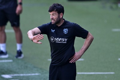 110726 - Cardiff City v FC Midtjylland - Preseason Friendly - Brian Barry-Murphy, Cardiff City Manager