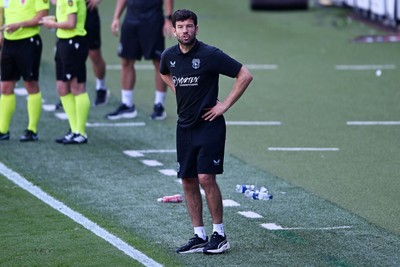 110726 - Cardiff City v FC Midtjylland - Preseason Friendly - Brian Barry-Murphy, Cardiff City Manager