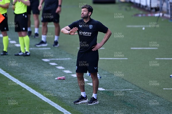 110726 - Cardiff City v FC Midtjylland - Preseason Friendly - Brian Barry-Murphy, Cardiff City Manager