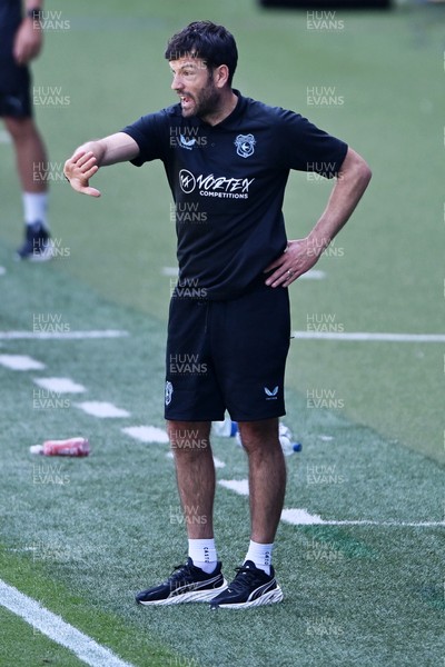 110726 - Cardiff City v FC Midtjylland - Preseason Friendly - Brian Barry-Murphy, Cardiff City Manager