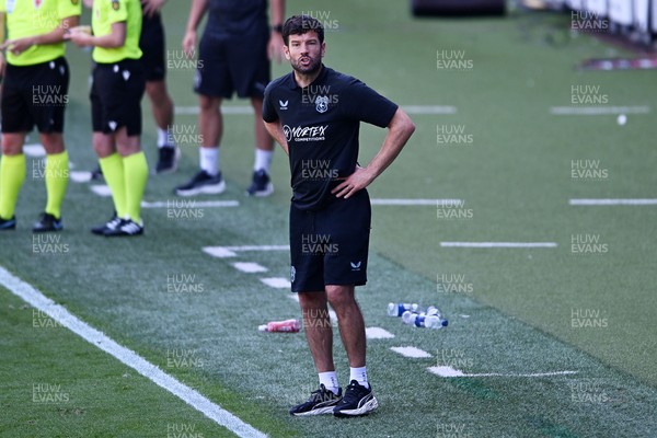 110726 - Cardiff City v FC Midtjylland - Preseason Friendly - Brian Barry-Murphy, Cardiff City Manager