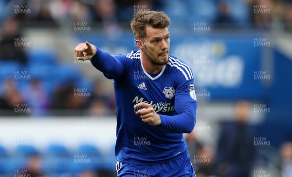 080117 - Cardiff City v Fulham - FA Cup 3rd Round - Anthony Pilkington of Cardiff City by Chris Fairweather/Huw Evans Agency