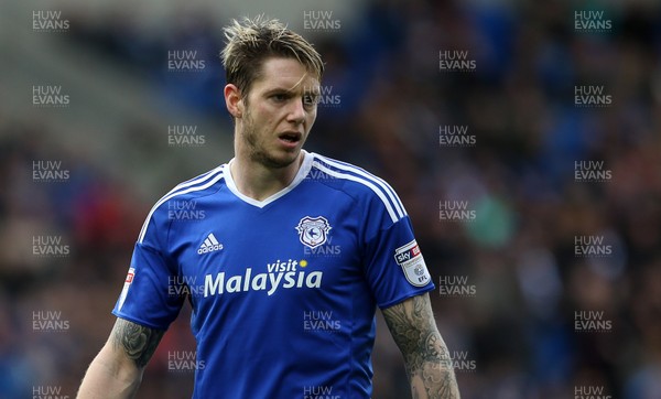 080117 - Cardiff City v Fulham - FA Cup 3rd Round - Greg Halford of Cardiff City by Chris Fairweather/Huw Evans Agency