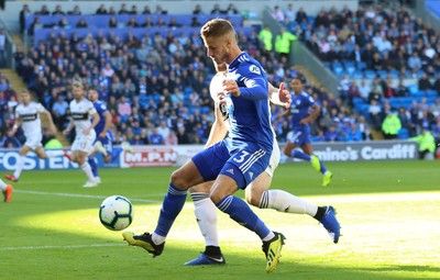 Cardiff City v Fulham 201018