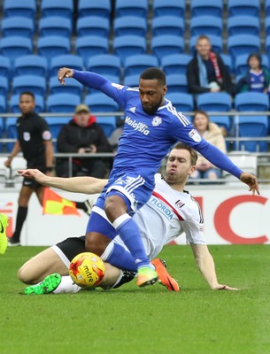 Cardiff City v Fulham 250217