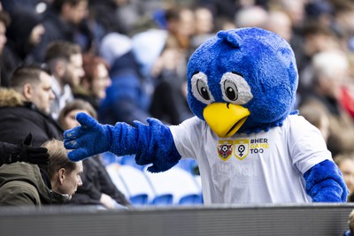 090324 - Cardiff City v Ipswich Town - Sky Bet Championship - Bartley the Bluebirds supporting HerGameToo