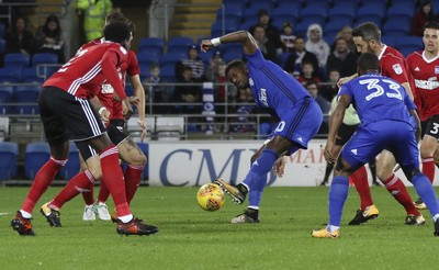 Cardiff City v Ipswich Town 311017