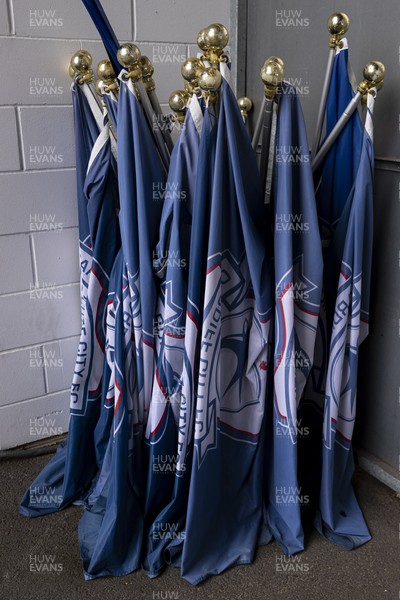 070326 - Cardiff City v Lincoln City - Sky Bet League 1 - Mascot’s flags ahead of the match 