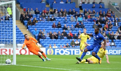 Cardiff City v Livingston 280717