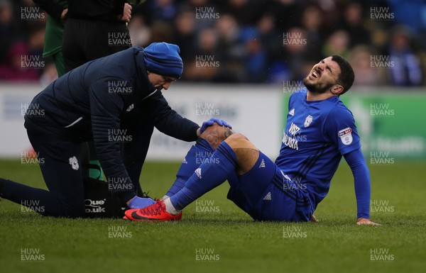 060118 - Cardiff City v Mansfield Town, Emirates FA Cup Round 3 - Callum Paterson of Cardiff City reacts in pain after picking up an injury
