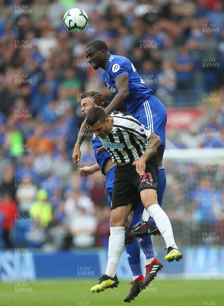 180818 - Cardiff City v Newcastle United, Premier League - Sol Bamba of Cardiff City gets above Ayoze Perez of Newcastle United to win the ball