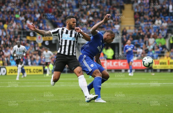 180818 - Cardiff City v Newcastle United, Premier League - Kenneth Zohore of Cardiff City is challenged by Jamaal Lascelles of Newcastle United