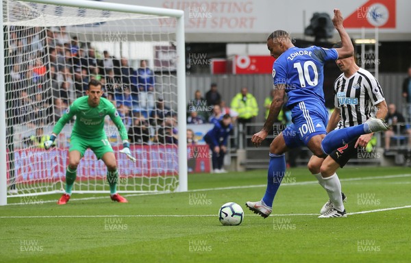 180818 - Cardiff City v Newcastle United, Premier League - Kenneth Zohore of Cardiff City fires a shot at goal