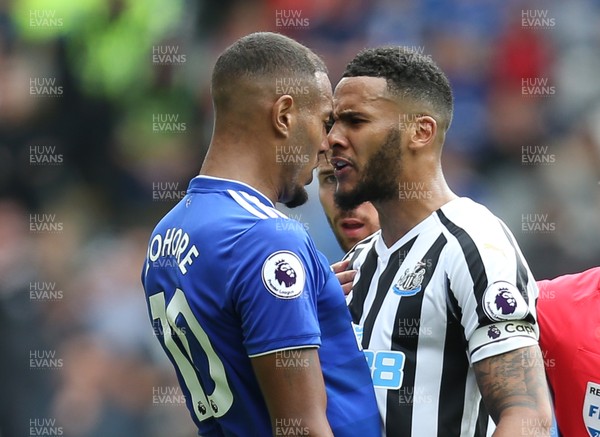 180818 - Cardiff City v Newcastle United, Premier League - Kenneth Zohore of Cardiff City and Jamaal Lascelles of Newcastle United come face to face after a challenge