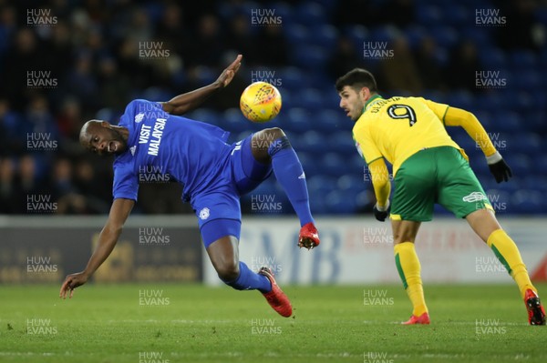 011217 - Cardiff City v Norwich City, Sky Bet Championship - Sol Bamba of Cardiff City loses the ball after winning it from Nelson Oliveira of Norwich City