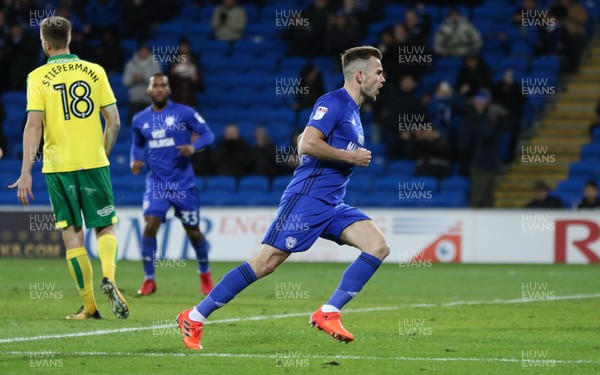 011217 - Cardiff City v Norwich City, Sky Bet Championship - Joe Ralls of Cardiff City celebrates after hescores goal from the penalty spot