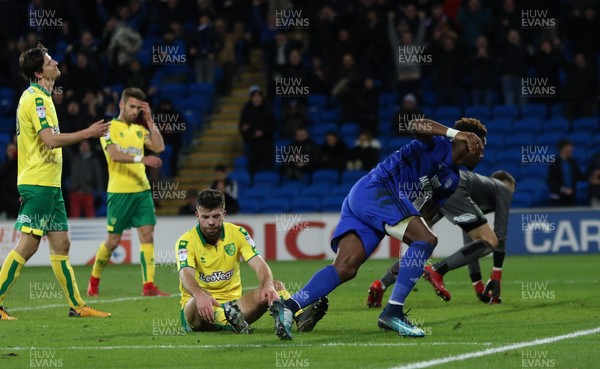 011217 - Cardiff City v Norwich City, Sky Bet Championship - Omar Bogle of Cardiff City wheels away to celebrate after he scores City's third goal