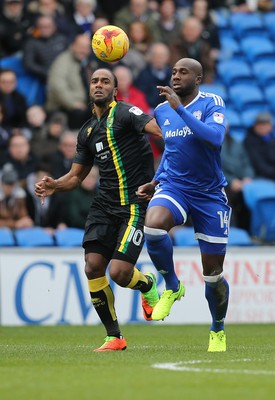 Cardiff City v Norwich City 040217