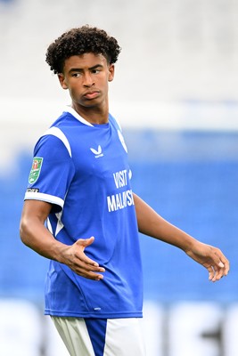 Cardiff City v Norwich City 250826