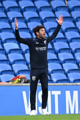 250826 - Cardiff City v Norwich City - Carabao Cup Second Round - Brian Barry-Murphy, Cardiff City Manager