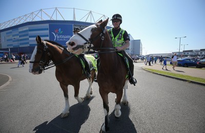 Cardiff City v Reading 060518