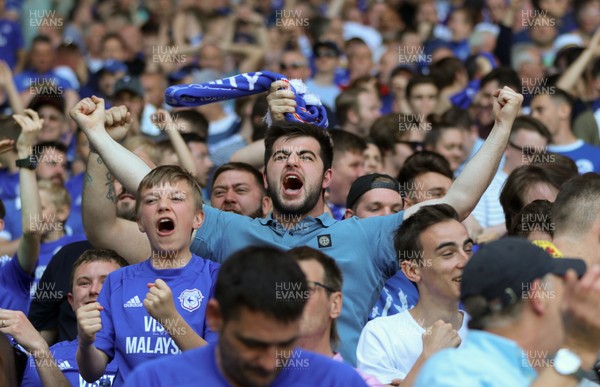 060518 - Cardiff City v Reading, Sky Bet Championship - Cardiff City fans celebrate as the news filters through that they have won promotion to the Premier League