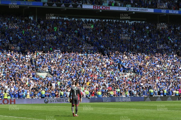 060518 - Cardiff City v Reading, Sky Bet Championship - Cardiff City fans celebrate as the news filters through that they have won promotion to the Premier League