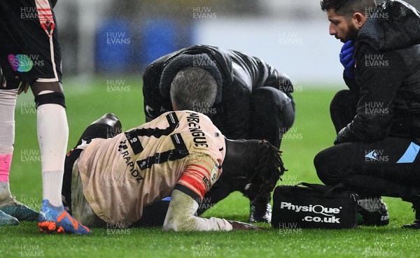 170223 - Cardiff City v Reading - EFL SkyBet Championship - Amadou Mbengue of Reading is treated after challenge by Mark McGuinness of Cardiff City