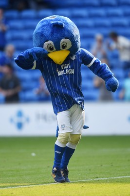 160825 - Cardiff City v Rotherham United - Sky Bet League 1 - Cardiff Mascot celebrates the win at full time