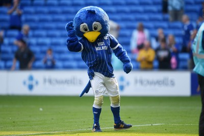 160825 - Cardiff City v Rotherham United - Sky Bet League 1 - Cardiff Mascot celebrates the win at full time