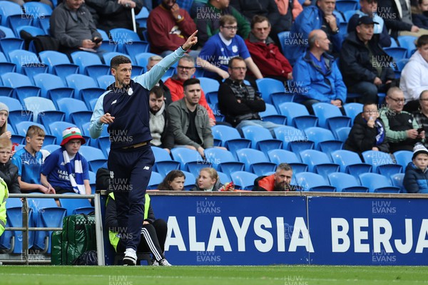 291022 - Cardiff City v Rotherham United - Sky Bet Championship - Mark Hudson, the interim manager of Cardiff city looks on from the touchline 