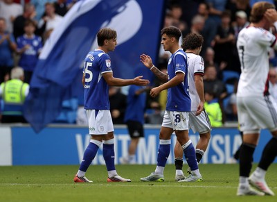 290826 - Cardiff City v Sheffield United - SkyBet Championship - Cian Ashford of Cardiff City celebrates scoring a goal to equalise the score