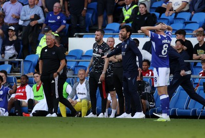 290826 - Cardiff City v Sheffield United - SkyBet Championship - Sheffield United Manager Chris Wilder and Cardiff City Manager Brian Barry-Murphy 