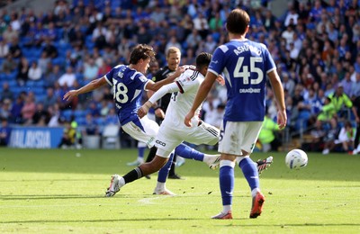 290826 - Cardiff City v Sheffield United - SkyBet Championship - Perry Ng of Cardiff City shot at goal hits the cross bar