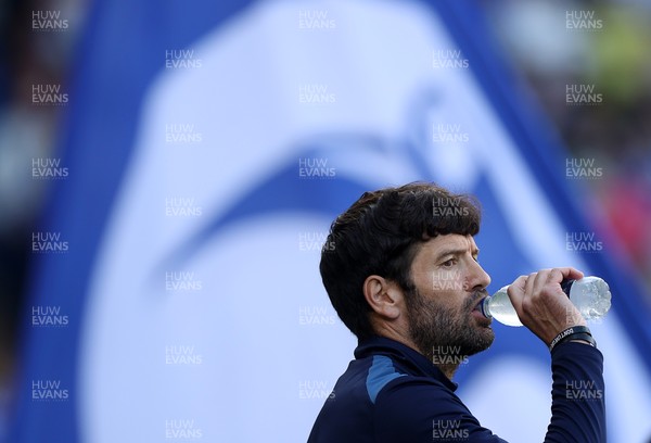 290826 - Cardiff City v Sheffield United - SkyBet Championship - Cardiff City Manager Brian Barry-Murphy 
